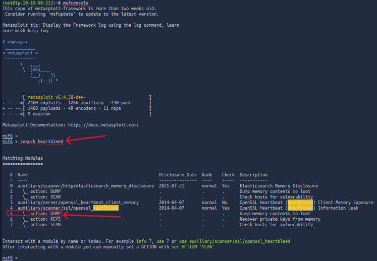!Metasploit Search!